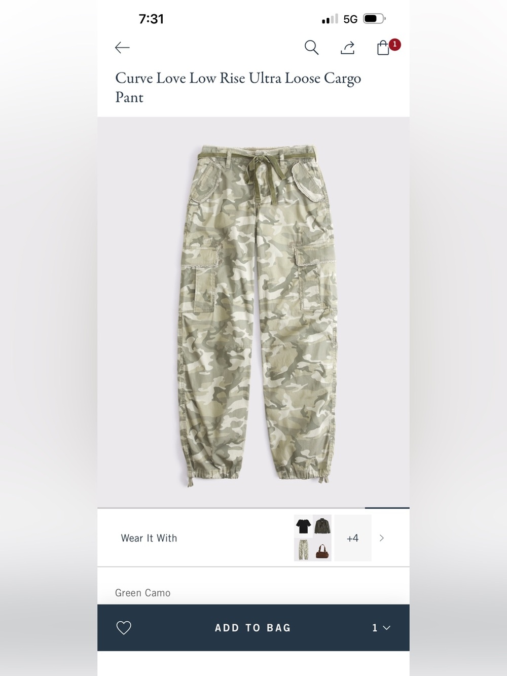 EUC Abercrombie & Fitch Curve love low rise ultra loose cargo pants